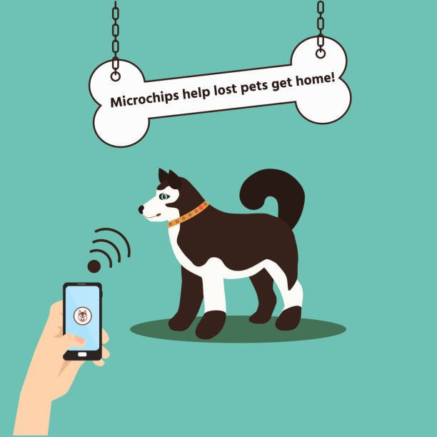 Microchip helps lost pets