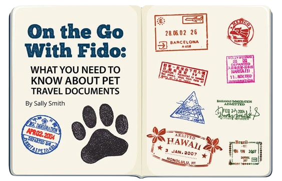 Pet travel documentation guide
