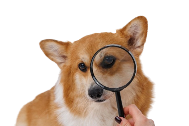 /